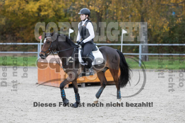 IGV Lehrgang der Sieger der Cups mit Frank Ostholt