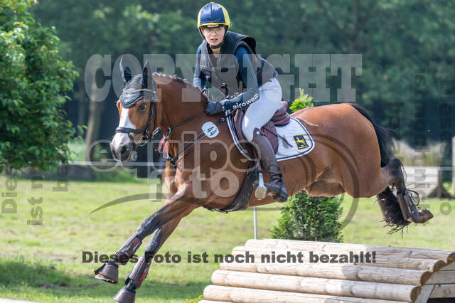 Goldene Schärpe 2021 - Ponys