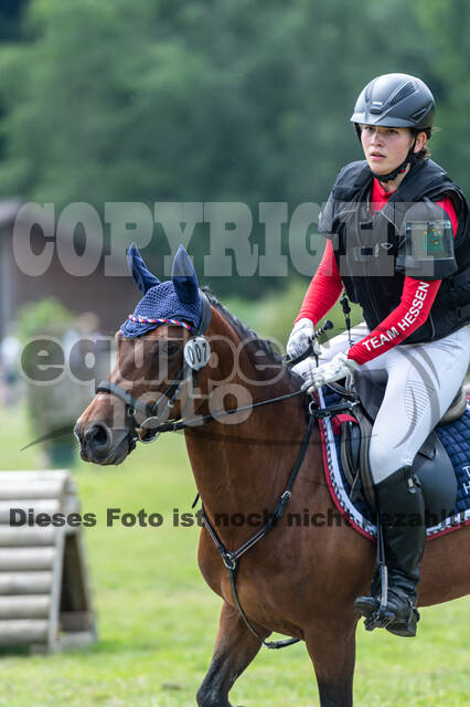 Goldene Schärpe 2021 - Ponys