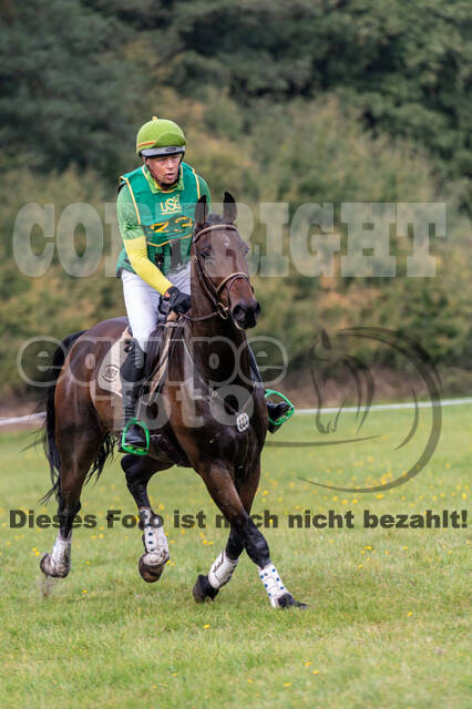 Deutsche Meisterschaft Vielseitigkeit (Luhmühlen)