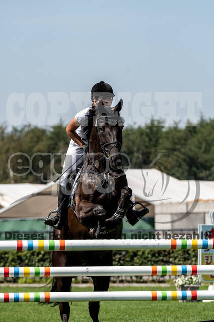 Kronenberg - De Peelbergen (August 2020)