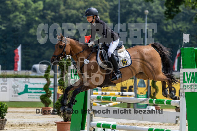 Goldene Schärpe 2021 - Ponys