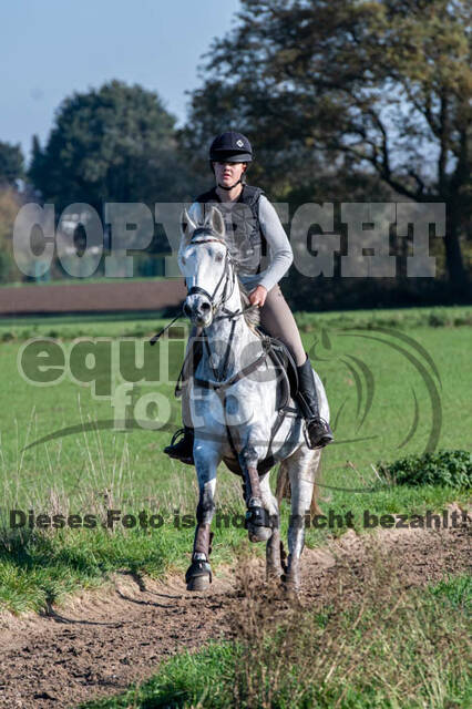 Vielseitigkeitslehrgang mit Jürg Kurbel (9.+10.11.2019)
