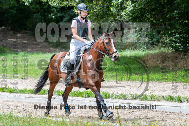 Late-Entry-Vielseitigkeit Langenfeld (06.+07.07.2020)