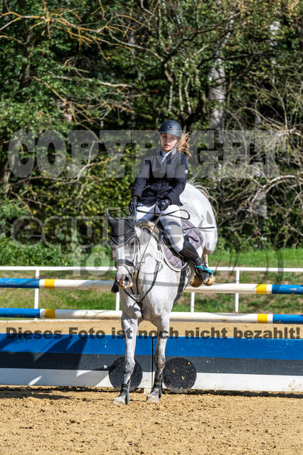 RFV Dinslaken-Hiesfeld (Herbstturnier)