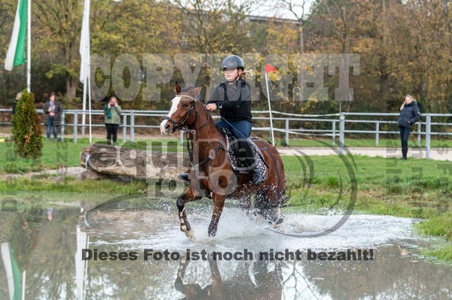 IGV Lehrgang der Sieger der Cups mit Frank Ostholt