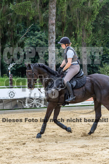 Hunter Geländetraining 10.07.2021 (Sonsbeck)