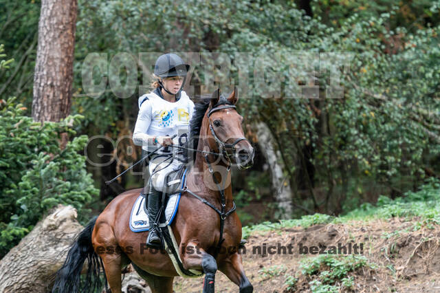 Vielseitigkeit RSV Wesel Obrighoven (26.+27.09.2020)