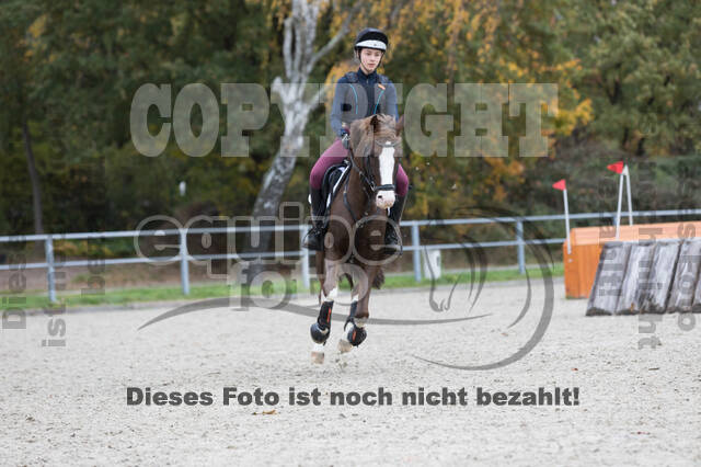 IGV Lehrgang der Sieger der Cups mit Frank Ostholt