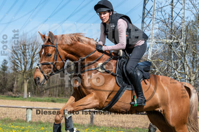Geländetraining ZRFV Hamminkeln (24+25.04.2021)