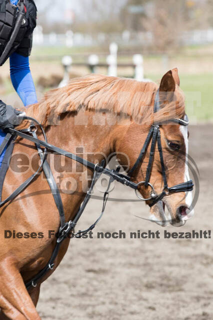 Geländetraining Hamminkeln, Karfreitag