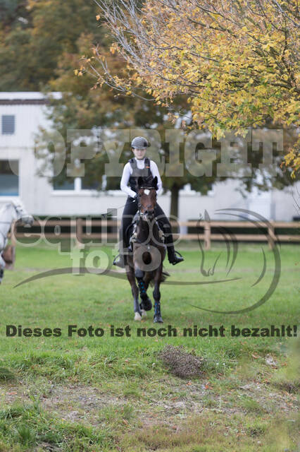 IGV Lehrgang der Sieger der Cups mit Frank Ostholt