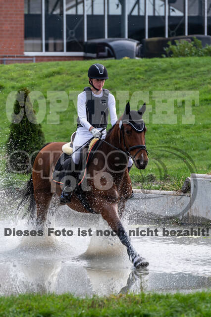 Goldene Schärpe 2020 - Pferde