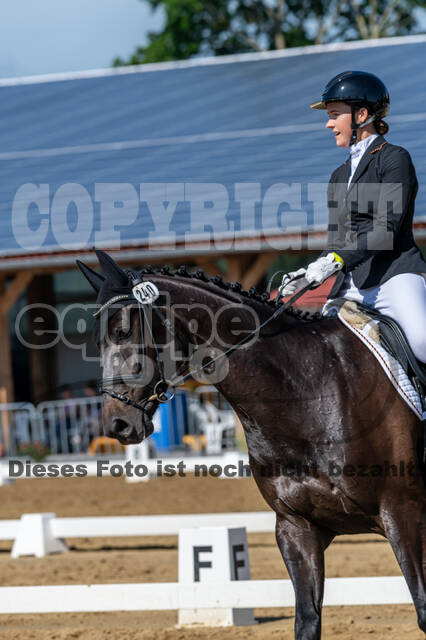 Westerstede Horse Trials 2021