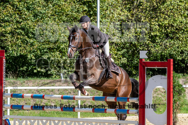 RFV Dinslaken-Hiesfeld (Herbstturnier)
