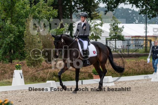Deutsche Meisterschaft Vielseitigkeit (Luhmühlen)
