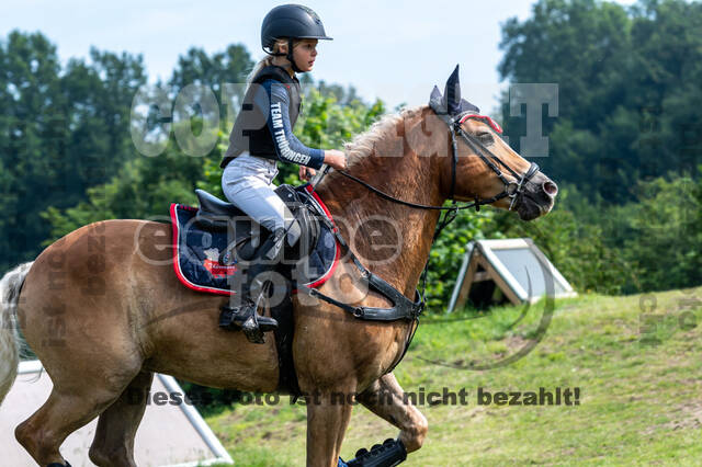 Goldene Schärpe 2021 - Ponys