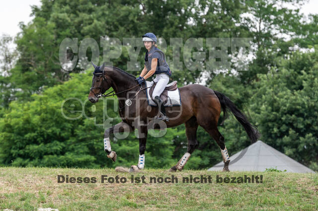 Late-Entry-Vielseitigkeit Langenfeld (11.+13./14.06.2020)