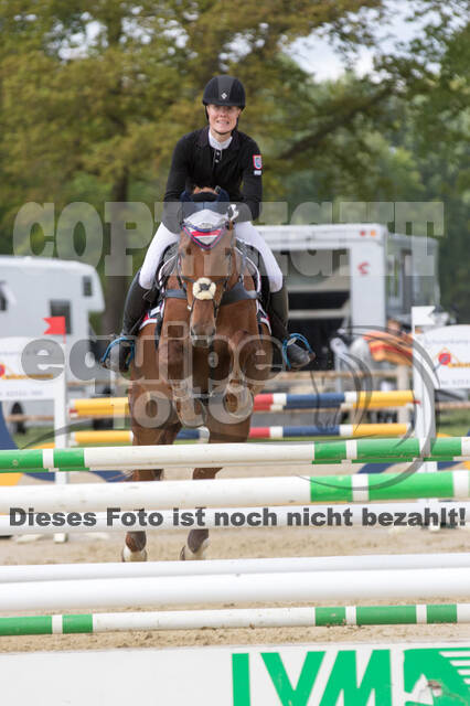 Sterne über Münster 2019 - CCI***S