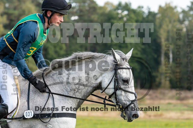 Deutsche Meisterschaft Vielseitigkeit (Luhmühlen)