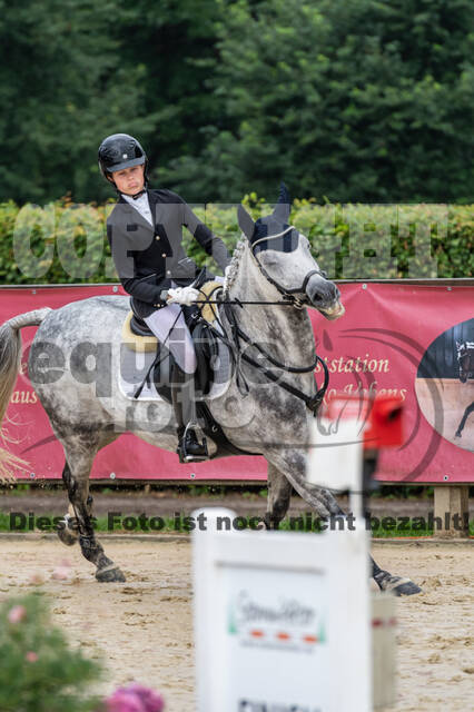 Goldene Schärpe 2021 - Ponys