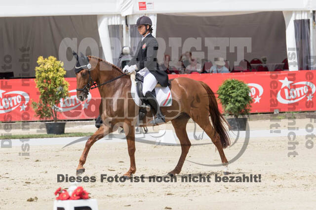 FEI European Championship Eventing 2017