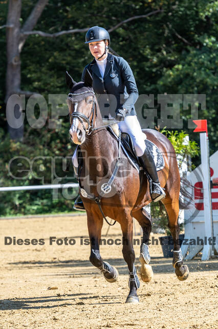 RFV Dinslaken-Hiesfeld (Herbstturnier)