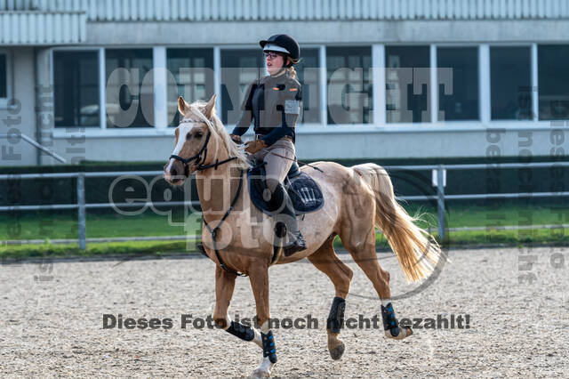 IGV Lehrgang der Sieger der Cups mit Frank Ostholt