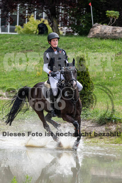 Late-Entry-Vielseitigkeit Langenfeld (06.+07.07.2020)