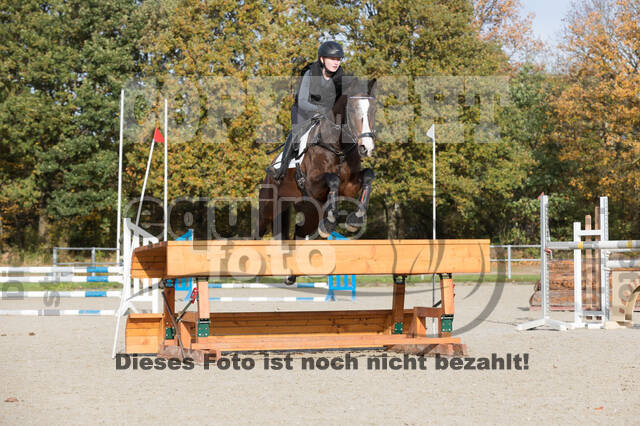 IGV Lehrgang der Sieger der Cups mit Frank Ostholt