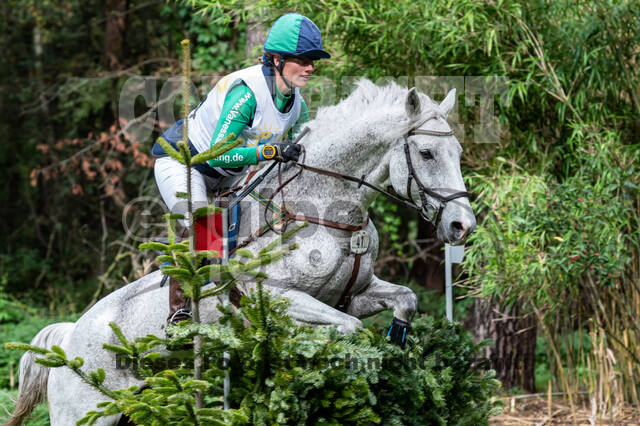 Vielseitigkeit RSV Wesel Obrighoven (26.+27.09.2020)