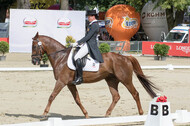FEI European Championship Eventing 2017
