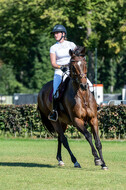 Kronenberg - De Peelbergen (August 2020)