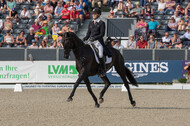 FEI European Championship Eventing 2019