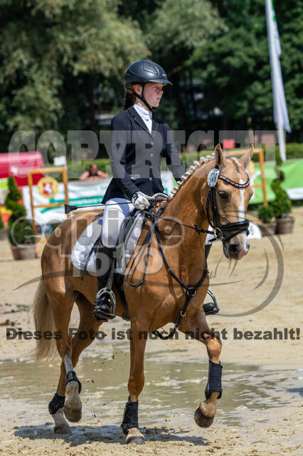 Goldene Schärpe 2021 - Ponys