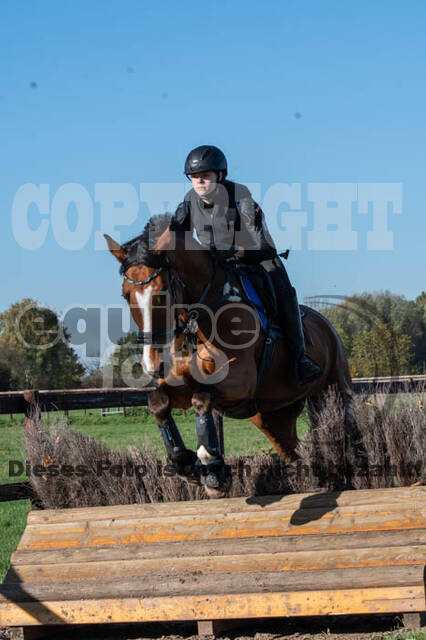 Vielseitigkeitslehrgang mit Jürg Kurbel (9.+10.11.2019)