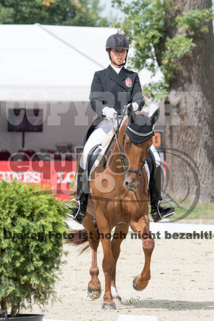 FEI European Championship Eventing 2017