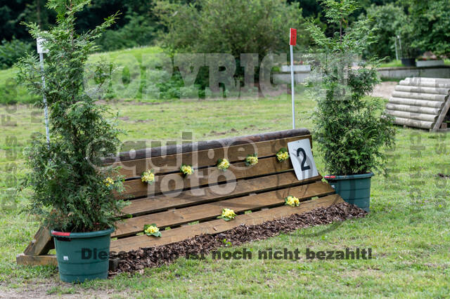 Goldene Schärpe 2021 - Ponys