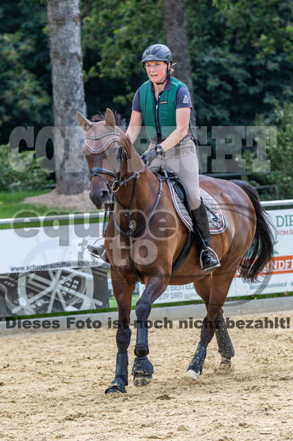 Hunter Geländetraining 10.07.2021 (Sonsbeck)