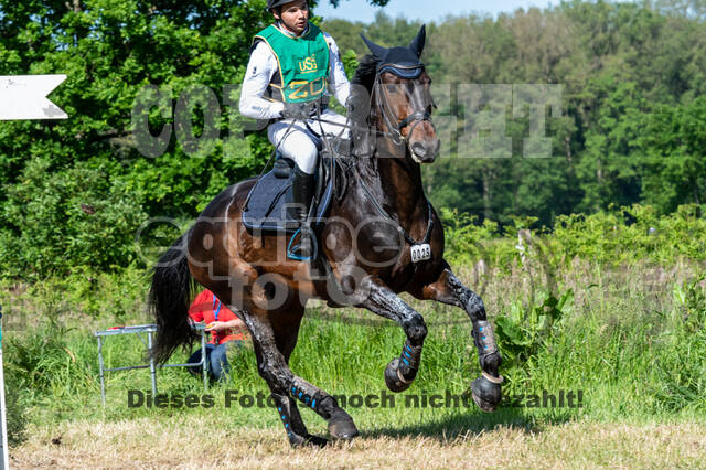 Westerstede Horse Trials (10.-13.06.2021)