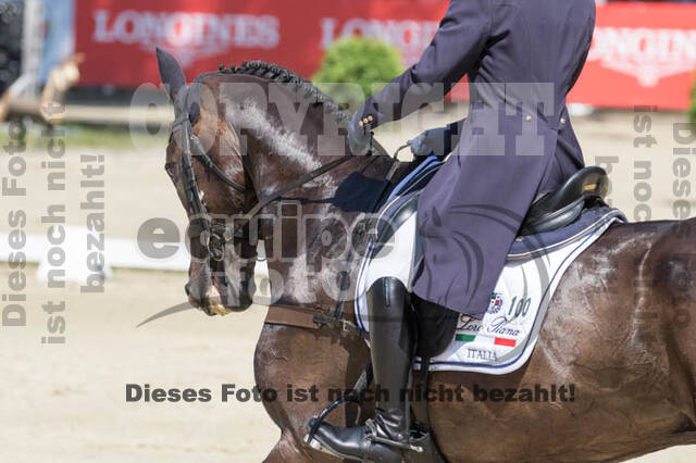 FEI European Championship