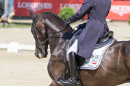 FEI European Championship