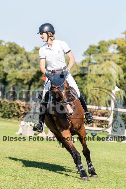 Kronenberg - De Peelbergen (August 2020)