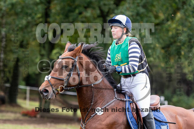 Vielseitigkeit RSV Wesel Obrighoven (26.+27.09.2020)