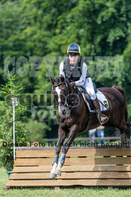 Goldene Schärpe 2021 - Ponys