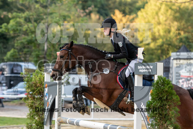 RFV Dinslaken-Hiesfeld (Herbstturnier)