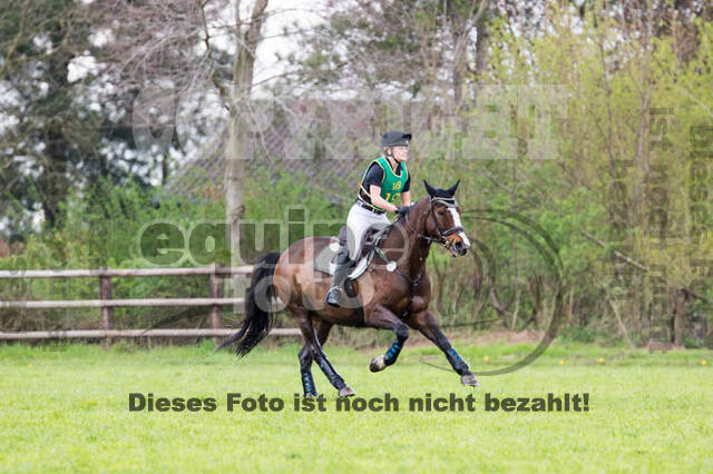 Vielseitigkeitsturnier RV Lippe-Bruch-Gahlen