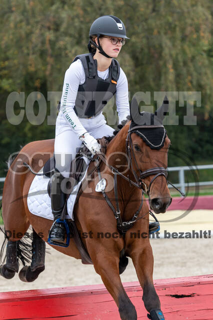 Goldene Schärpe 2020 - Pferde