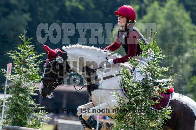 Goldene Schärpe 2021 - Ponys