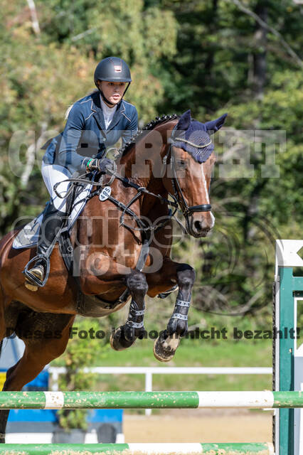 RFV Dinslaken-Hiesfeld (Herbstturnier)